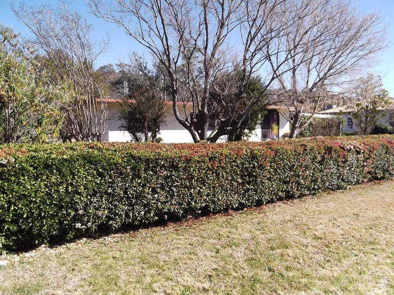 lovely woolomin - urgent sale